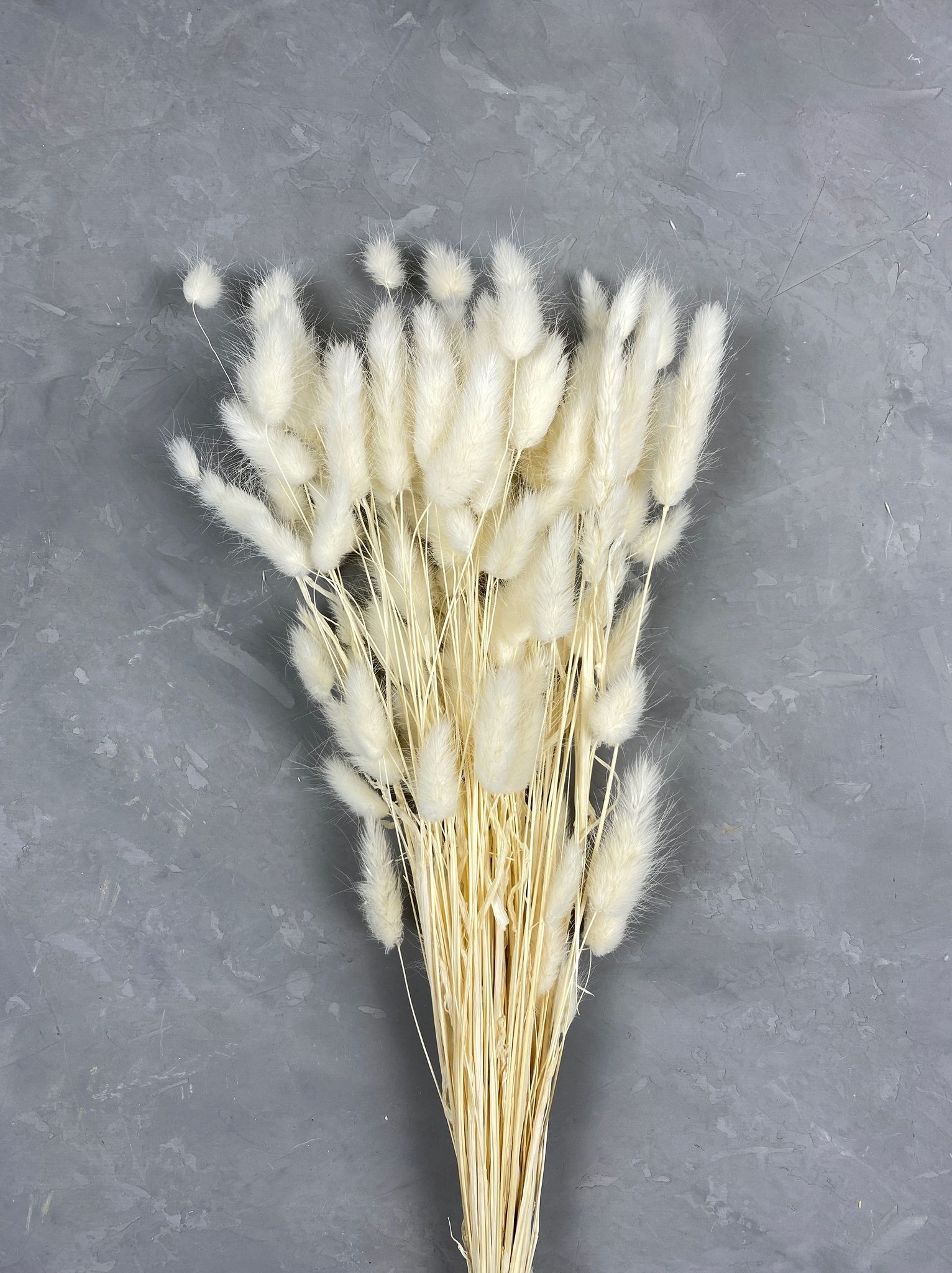 Getrockneter Strauß Aus Lagurus Ovatus Und Setaria Viridis Für Die Vase, Im Bohème-stil Zur Dekoration Des Zuhauses
