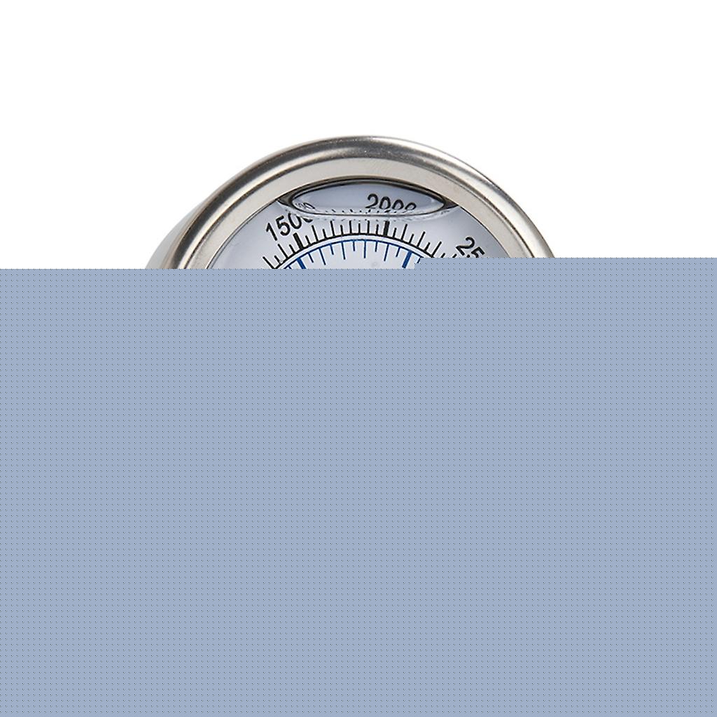 Manometer Kompatibel Mit Hochdruckreinigern. Hochdruckpumpen-manometer Mit M14-gewinde.