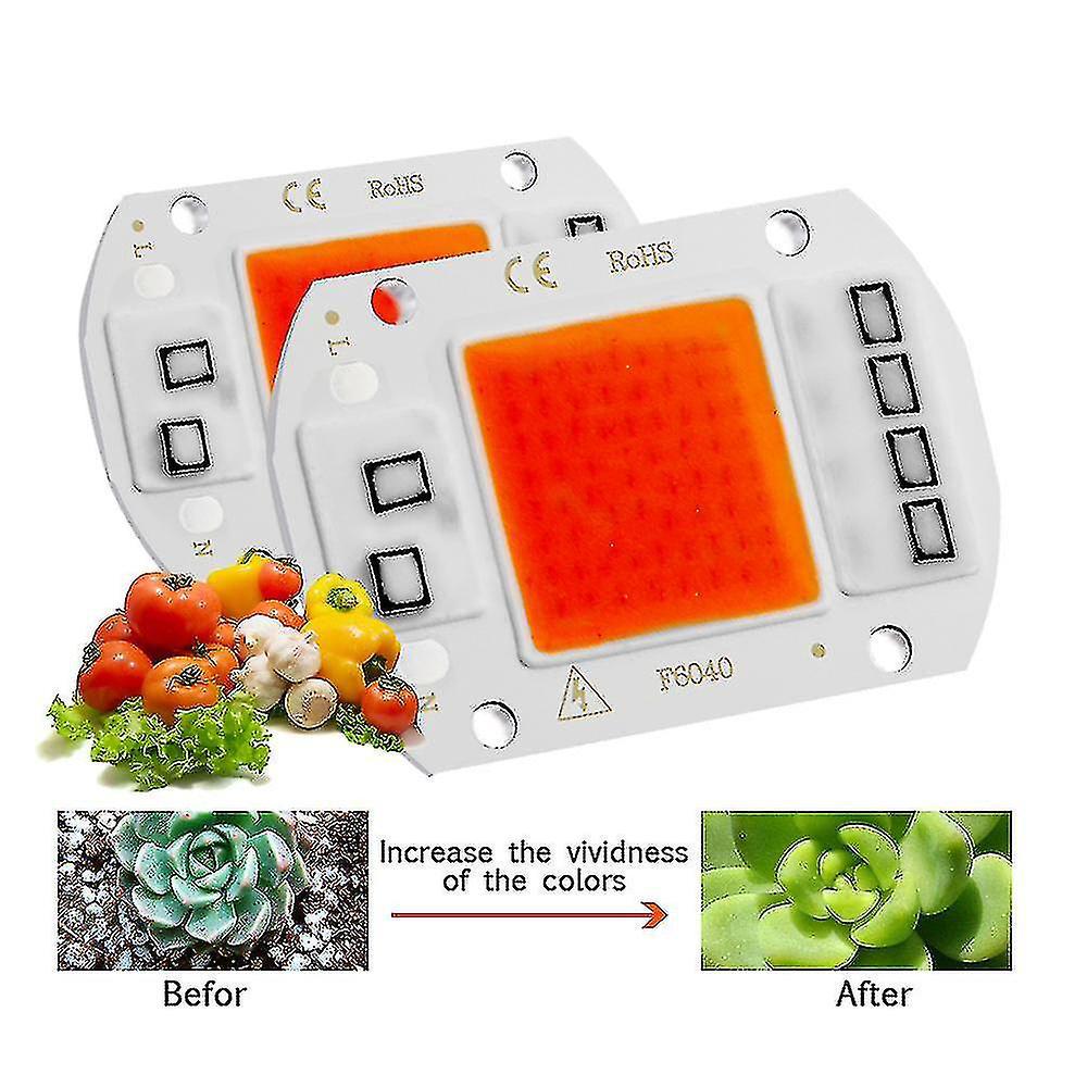 Led-pflanzenlampe Mit Vollspektrum-cob-led-chip, 110 V/220 V Wechselstrom, Ohne Treiber, Für Zimmerpflanzen, Sämlinge Und Wachstum