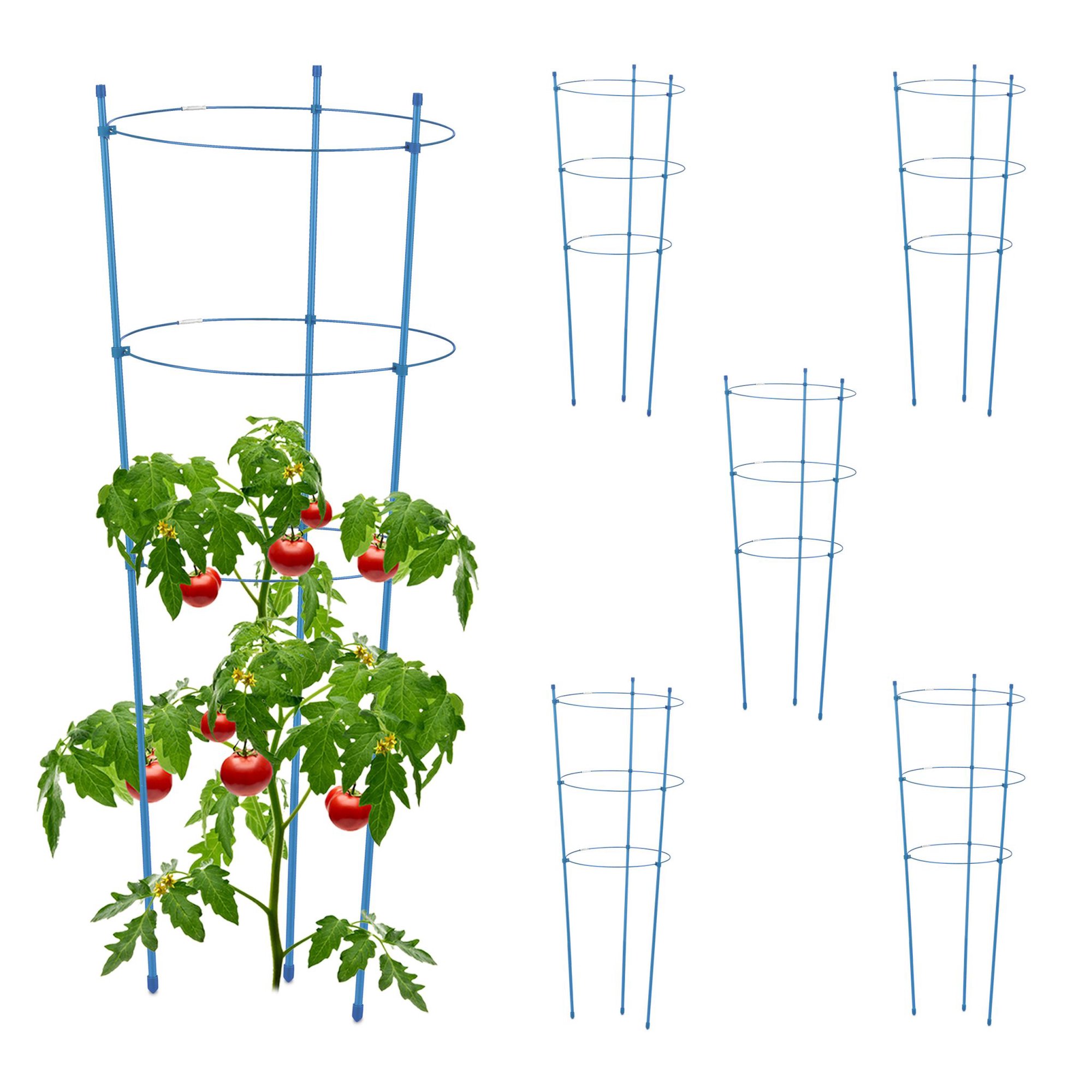 Pflanzenstütze 76 Cm Blau, 6er-set
