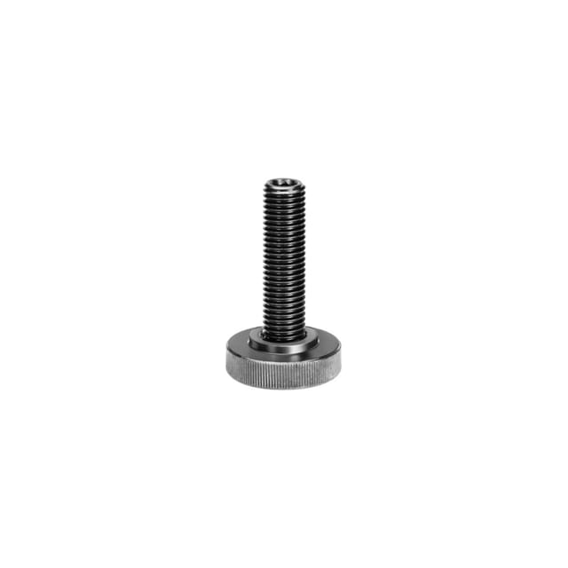 Schraube für T-Nuten DIN 787 M24 x 28 x 400mm komplett
