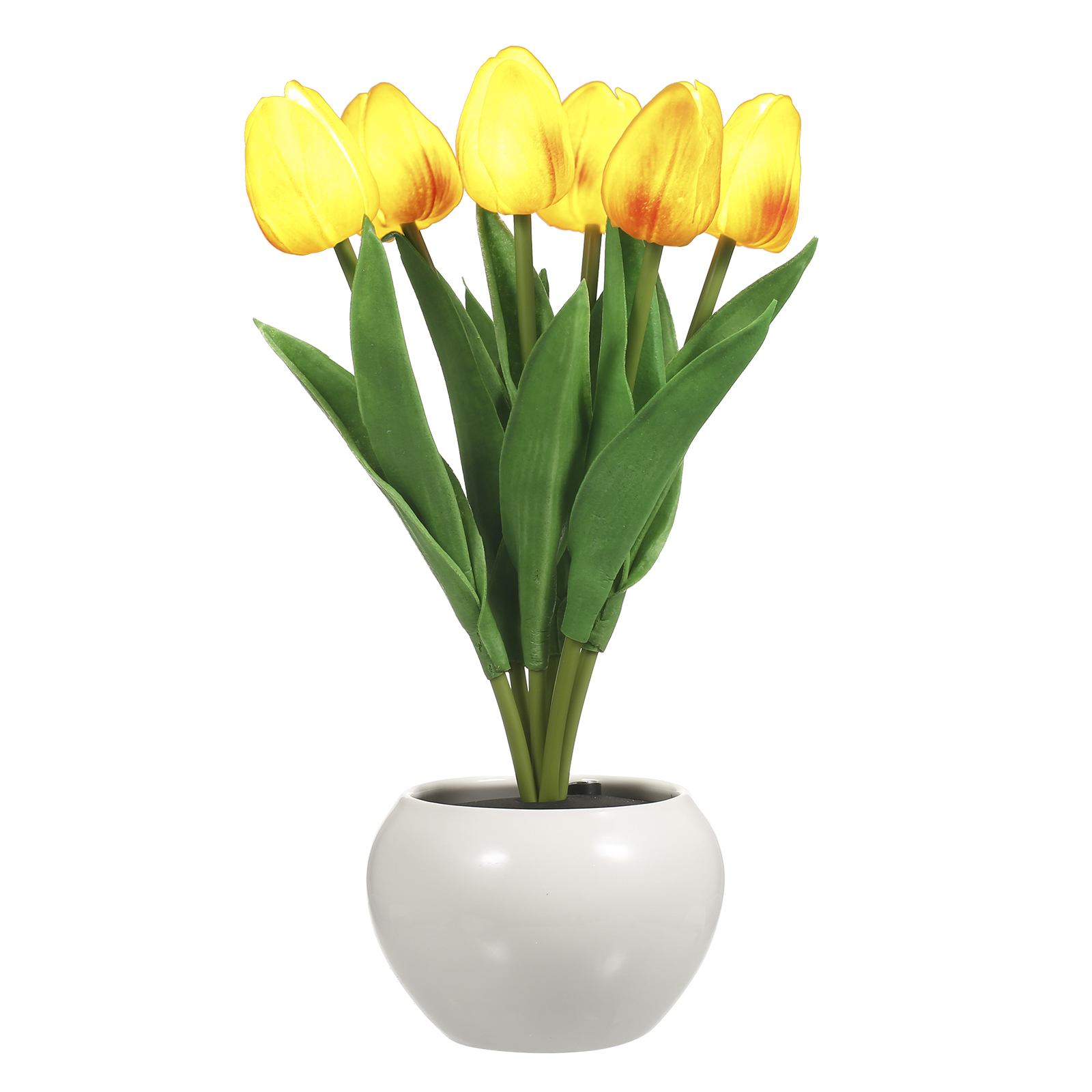 Wiederaufladbare Led-tulpenlampe (230 Mm), Blumentischlampe Für Wohnzimmer Und Schlafzimmer