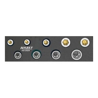Steckschlüssel-Einsätze-Satz 163-252/9, 3/8" für TORX® E8 - E14, T25 - T50