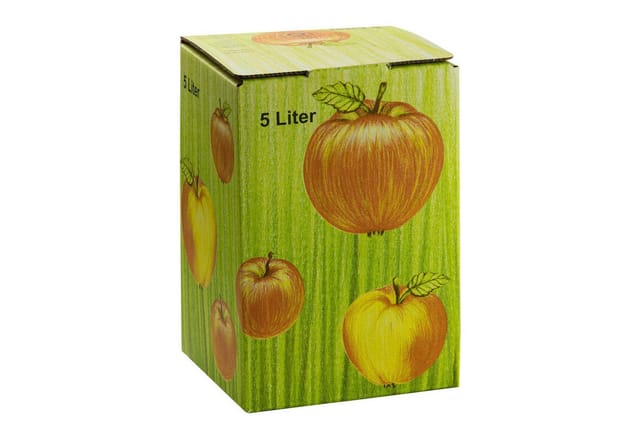 10 Stück Bag In Box Karton 5 L Liter Apfelsaft Schachtel Saftkarton Faltkarton