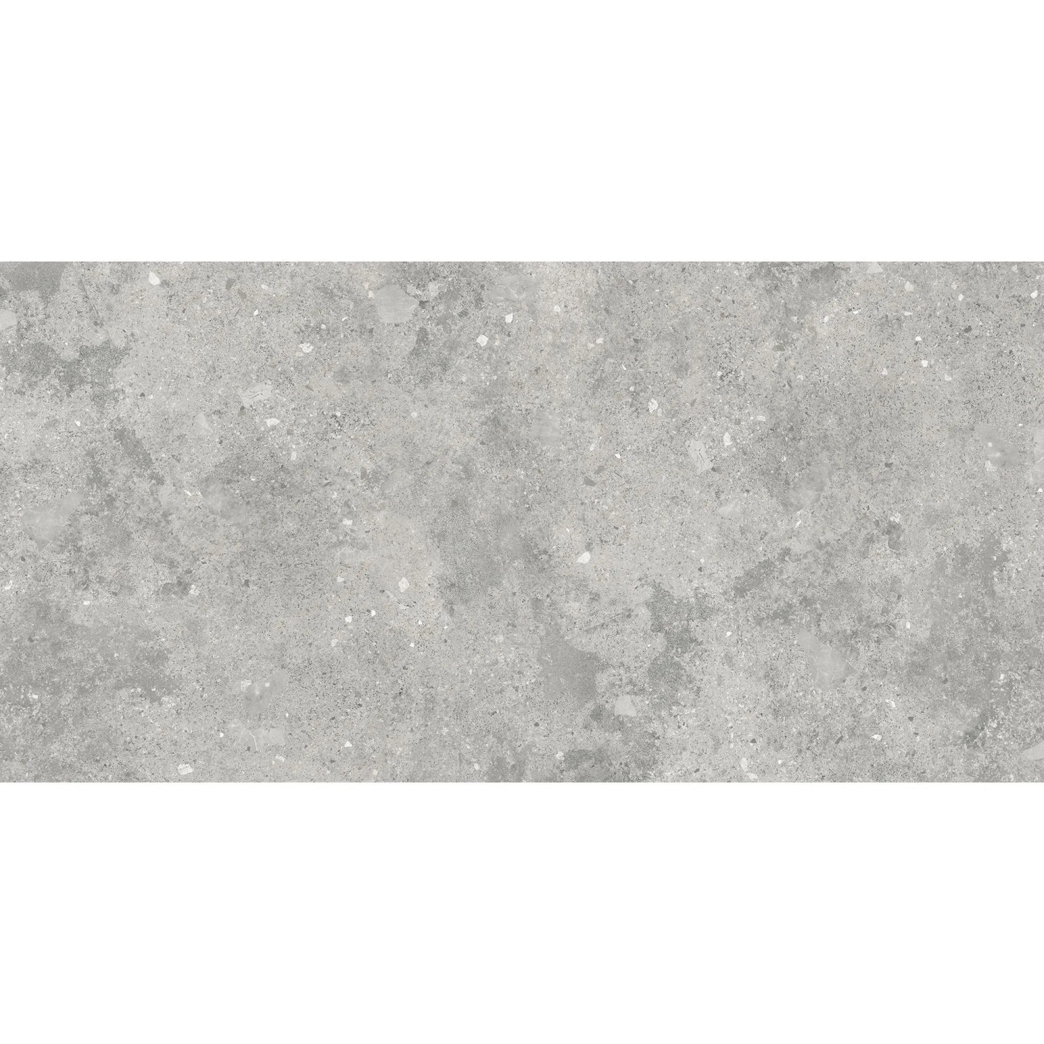 Bodenfliese Feinsteinzeug Florys Grau Matt 59,8 cm x 119,8 cm