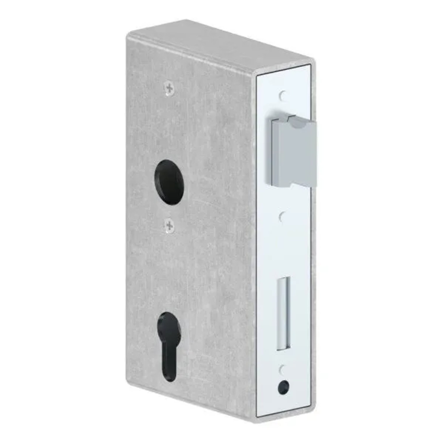 FeNau Schlosskasten Verzinkt 40 X 94 X 172 mm Dornmaß 60 mm Umstellbar 2-Tourig