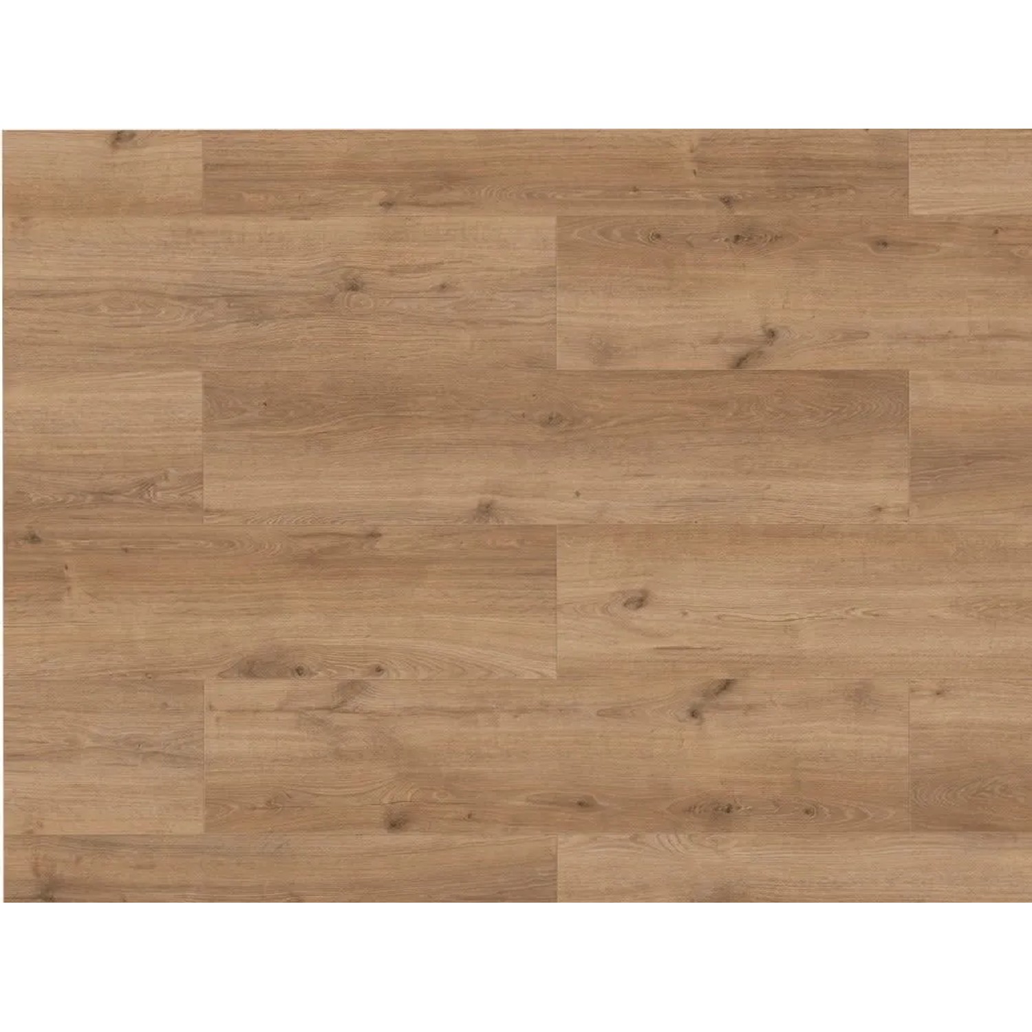 Timefloor Laminat Skyline Trend Cubana Oak Light Brown Landhausdiele