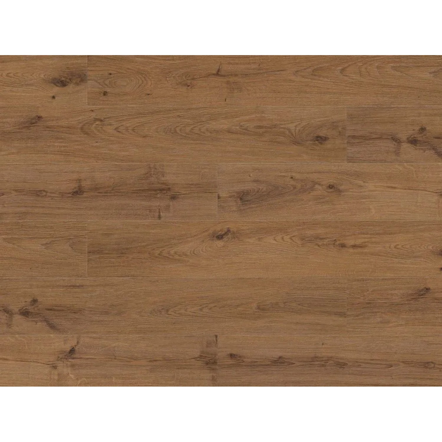 Timefloor Vinylboden Rigid SPC Maritim Eleganz Eiche Norderney Landhausdiele