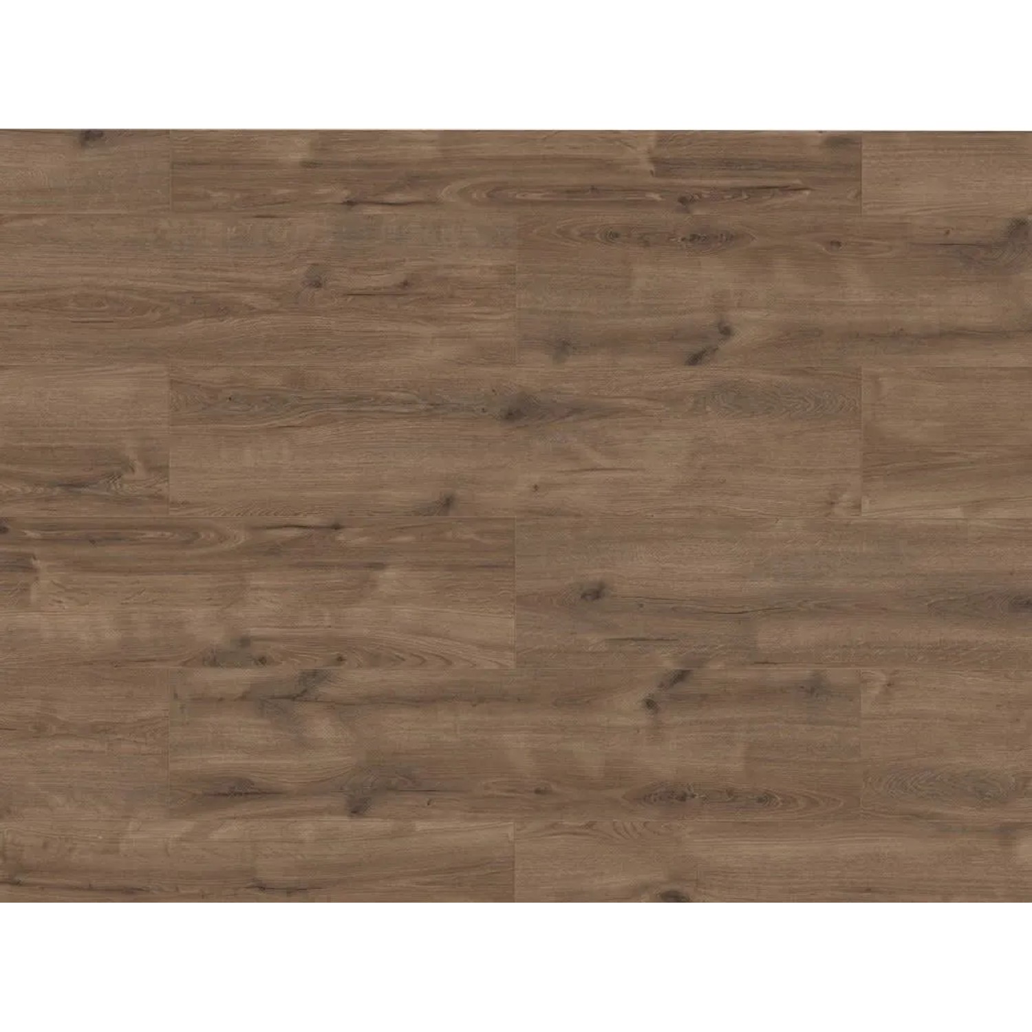 Timefloor Laminat Skyline Trend Harmony Oak Brown Grey Landhausdiele