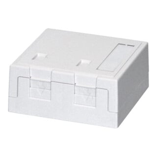 Daetwyler Aufputzdose 2xKeystone Module 68 x 65 x 30mm