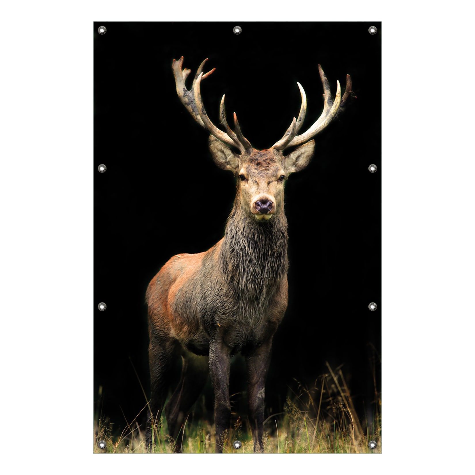 Wallario Gartenposter ca. 100 x 150 cm Stattlicher Rothirsch
