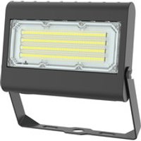 LED-Fluter TEXIS 2.0 50W Bild 2