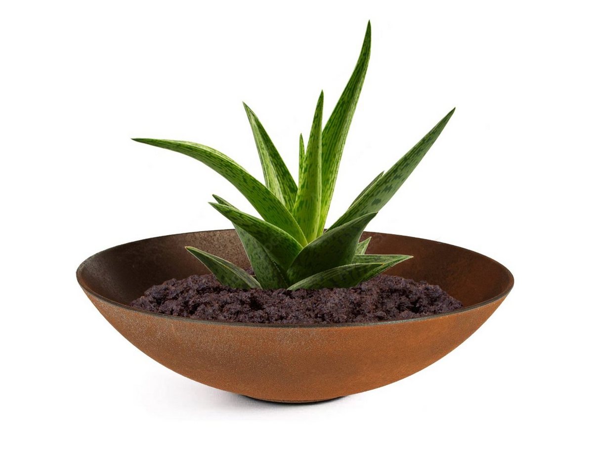 matches21 HOME & HOBBY Blumentopf Pflanzschale für draussen Dekoschale rund Rost-Optik 35 cm (1 St), Blumen-Schale als wetterfeste Friedhof-Schale Grab-Schmuck Grabschale