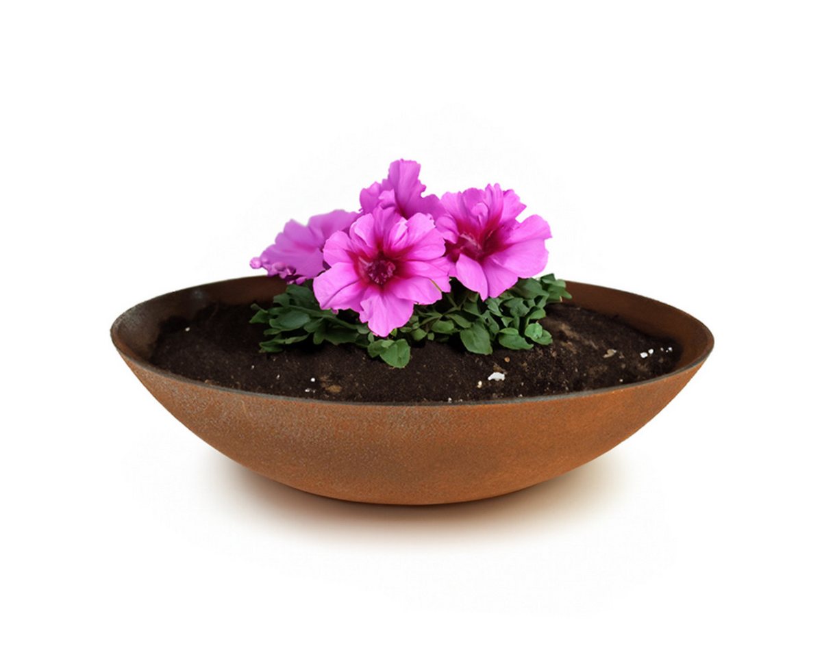 matches21 HOME & HOBBY Blumentopf Pflanzschale für draussen Dekoschale rund Rost-Optik 35 cm (1 St), Blumen-Schale als wetterfeste Friedhof-Schale Grab-Schmuck Grabschale Bild 2
