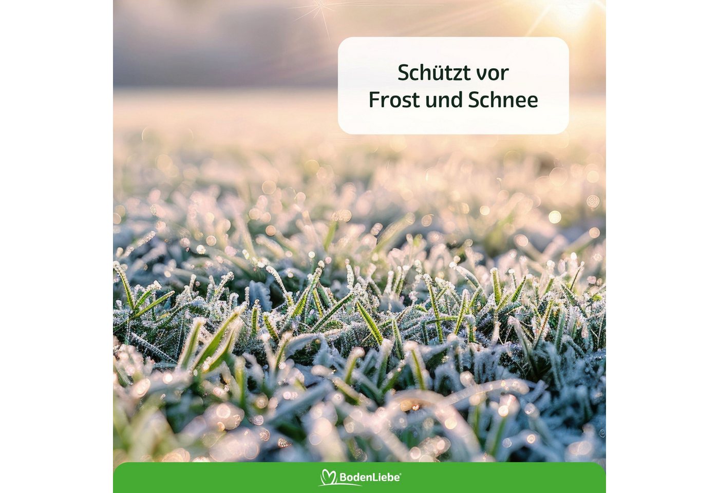 RASENBLITZ Rasendünger RASENBLITZ™ - HERBSTDÜNGER, Flüssiger Herbstdünger mit einfacher Schlauch-Anwendung Bild 4