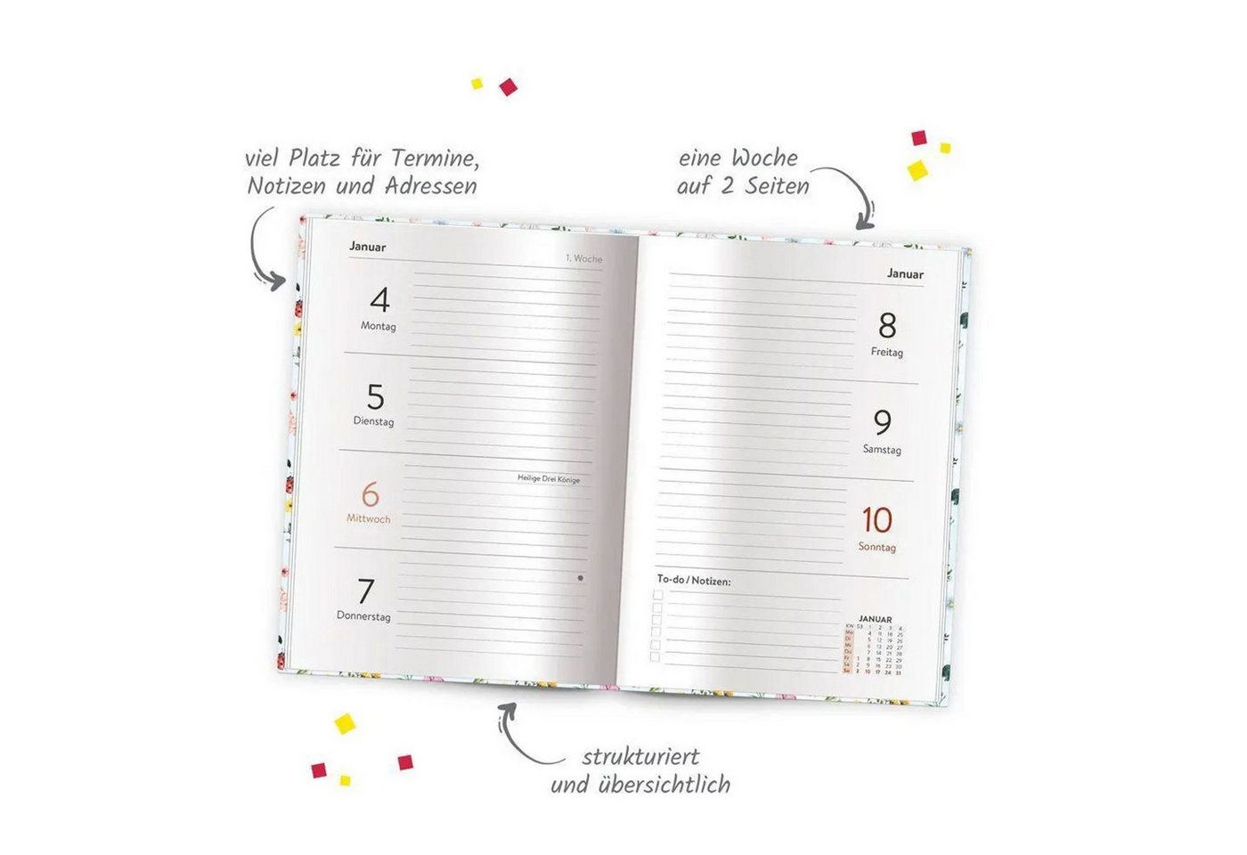 Trötsch Verlag Taschenkalender TRÖTSCH - Taschenkalender A6 Marienkäfer 2027 Bild 3
