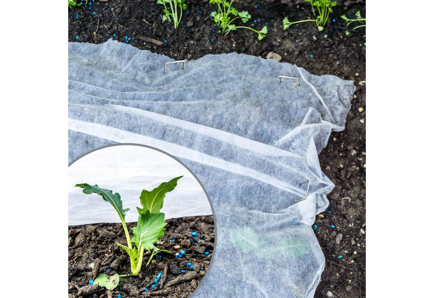 com-four Gartenvlies 30 m² Frühbeetvlies - 30g/m² Wintervlies als Frostschutz, (2-St), Abdeckvlies 1,5 x 10 m - reißfestes Hochbeet-Vlies für Gemüse Bild 5