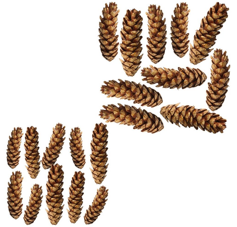 matches21 HOME & HOBBY Bastelnaturmaterial Große Tannen-Zapfen Streudeko weiß 10er Set in 10 - 15 cm, (10-tlg), Weihnachten Deko-Zapfen zum Basteln und Weihnachtsbaum-Schmuck