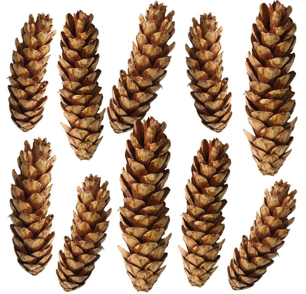 matches21 HOME & HOBBY Bastelnaturmaterial Große Tannen-Zapfen Streudeko weiß 10er Set in 10 - 15 cm, (10-tlg), Weihnachten Deko-Zapfen zum Basteln und Weihnachtsbaum-Schmuck Bild 2