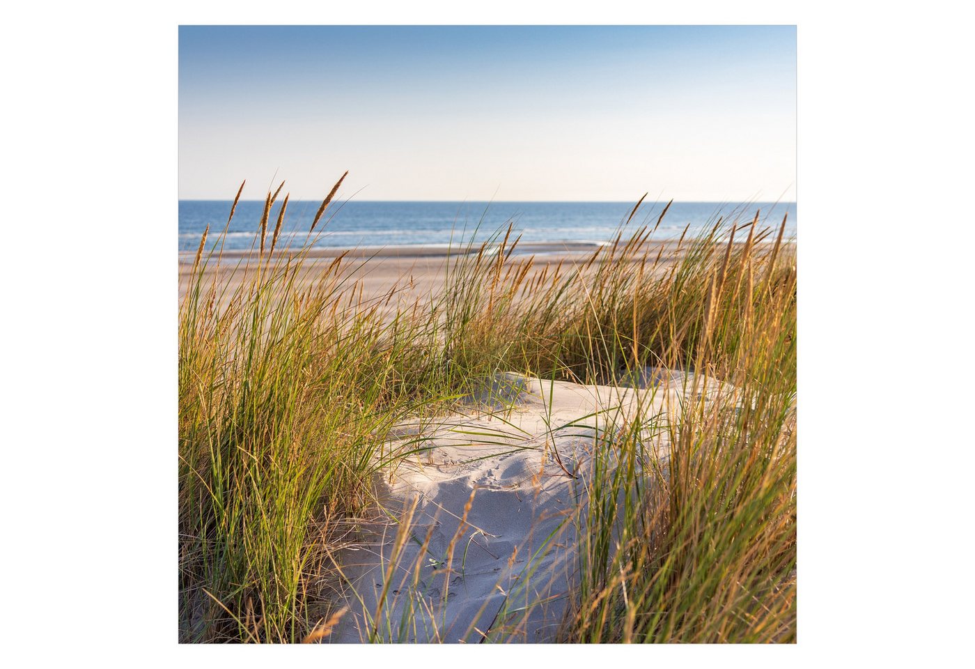 Bilderdepot24 Fototapete Strand & Meer Stranddüne Meer Natur Landschaft Maritim Meerblick, Glatt, Matt, (Vliestapete inkl. Kleister oder selbstklebend), Wohnzimmer Schlafzimmer Küche Flur Motivtapete Vliestapete Wandtapete