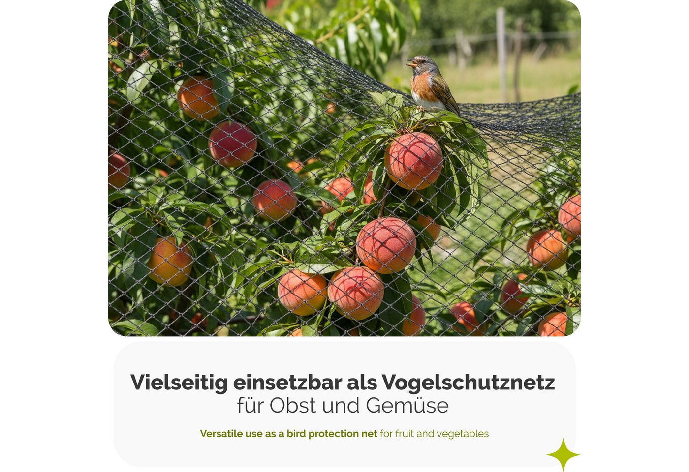 Garronda Schutznetz Vogelschutz HDPE 20 × 20 mm UV-beständig gegen Katzen GD-0194, BxL: 2x3 m, (1-St), UV-beständig, schützt Obst und Gemüse vor Vögeln und Katzen Bild 2