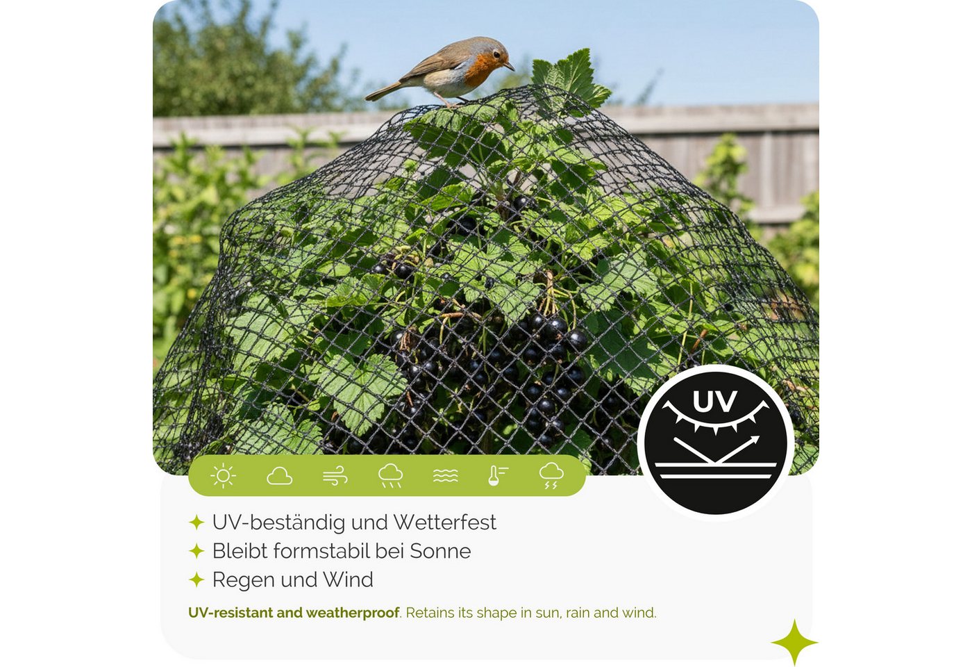 Garronda Schutznetz Vogelschutz HDPE 20 × 20 mm UV-beständig gegen Katzen GD-0194, BxL: 2x3 m, (1-St), UV-beständig, schützt Obst und Gemüse vor Vögeln und Katzen Bild 5