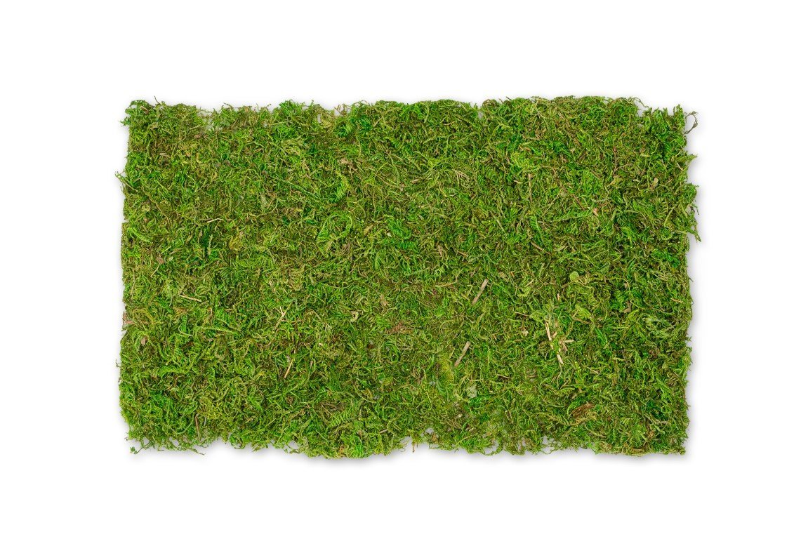 NaDeco Bastelnaturmaterial Moosplatte ca. 30x18cm Moosmatte