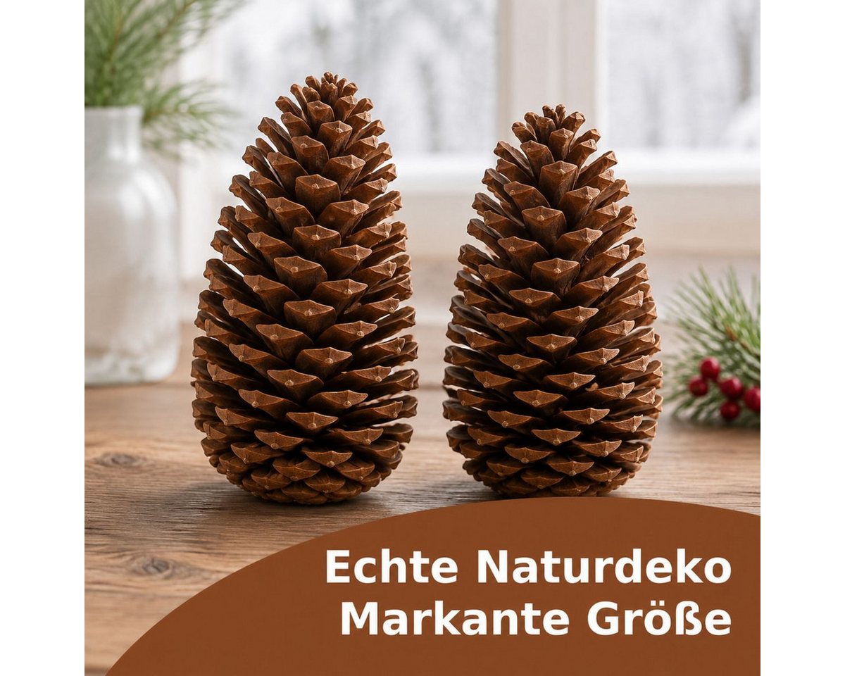NaDeco Bastelnaturmaterial Maritima-Zapfen, Größe 10-14cm, Natur, 10 Stück Pinus pinaster Bild 5