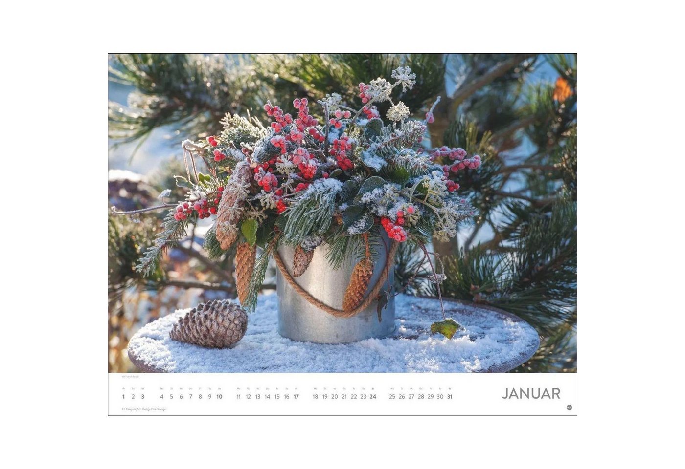 HEYE Wandkalender Blumenpracht Posterkalender 2027 Bild 5