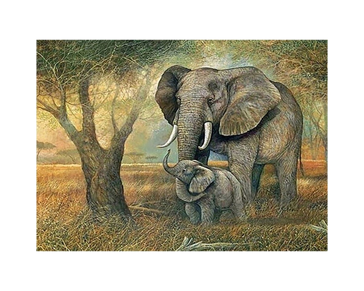 Pracht Malvorlage PRACHT Diamond Painting Elefanten 40x30cm