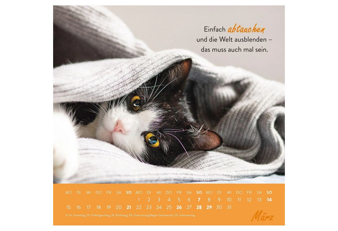 groh Verlag Wandkalender Wandkalender 2027: Einfach mal abhängen Bild 3