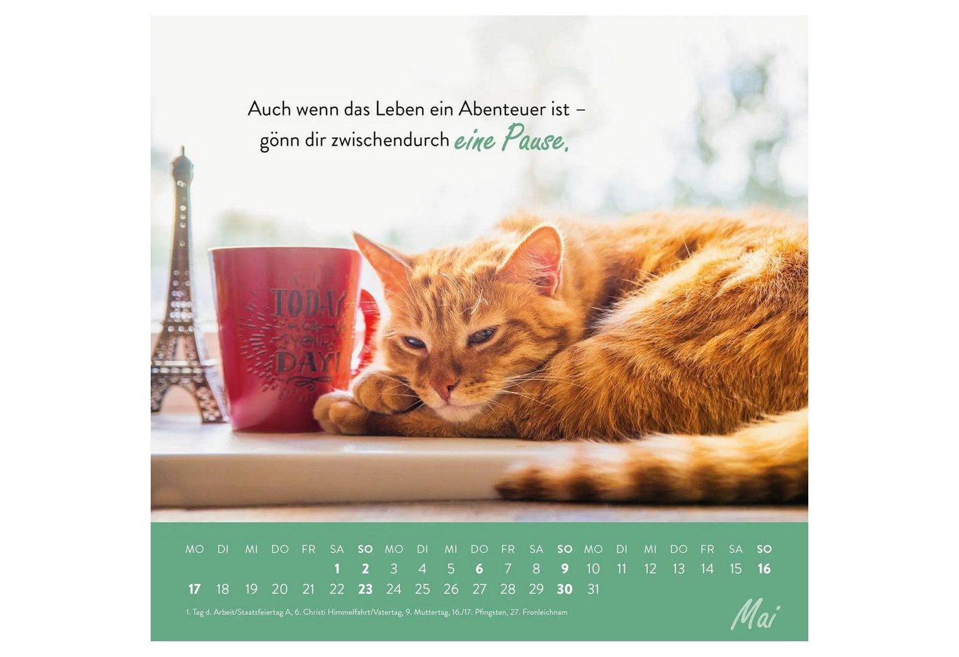 groh Verlag Wandkalender Wandkalender 2027: Einfach mal abhängen Bild 4