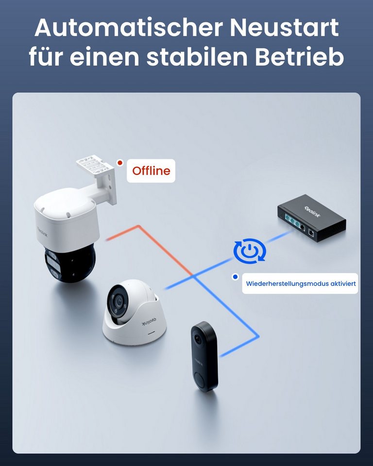 Reolink Überwachungskamera Zubehör Plug & Play PoE-Switch mit 5 Anschlüssen und 65W Leistungsfähigkeit (PoE-Anschluss 4 × 10/100/1000 Mbit/s)