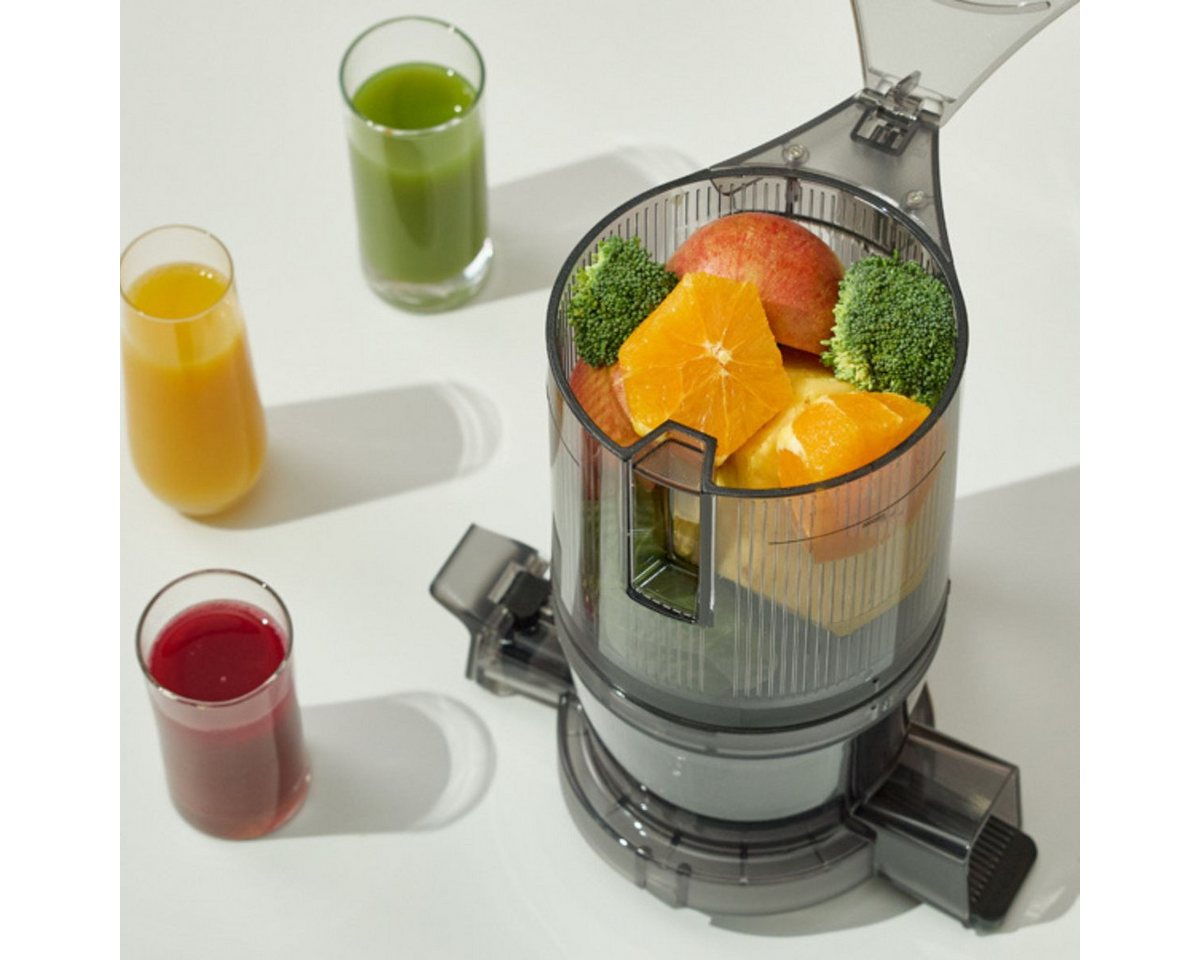 Hurom Entsafter Hurom Slow Juicer H80-ST Bild 2