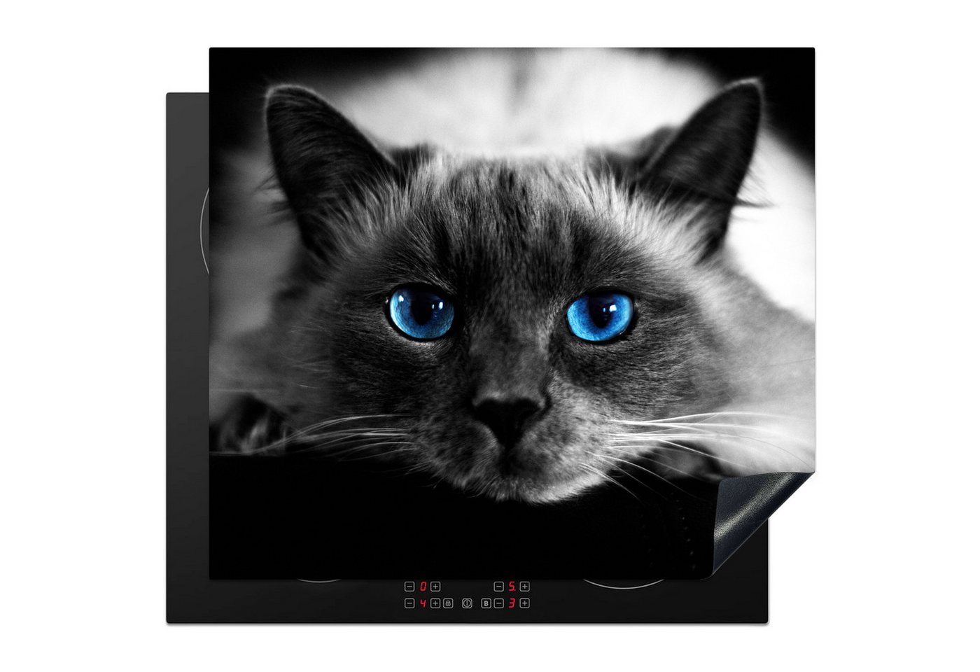 MuchoWow Herd-Abdeckplatte Katze - Augen - Grau - Blau, Vinyl, (1 tlg), Ceranfeldabdeckung Küche, Herdabdeckplatte Einteilig, 60x52 cm Bild 4