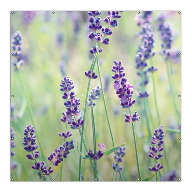 Wallario Gartenposter ca. 60 x 90 cm Lila Blumenfreude - Violette Pflanzen auf der Wiese