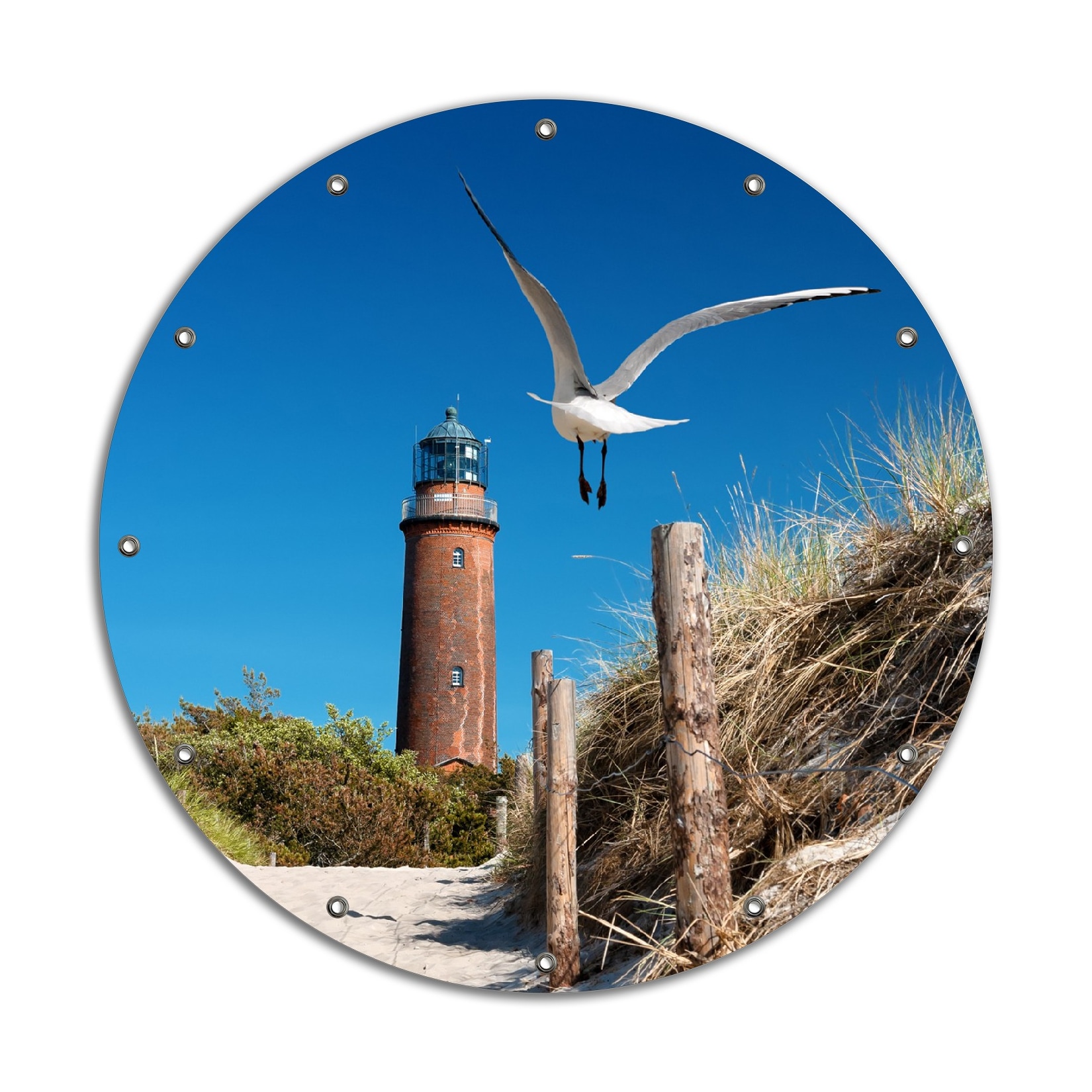 Wallario Gartenposter ca. 60 x 90 cm Möwe am Strand mit Leuchtturm
