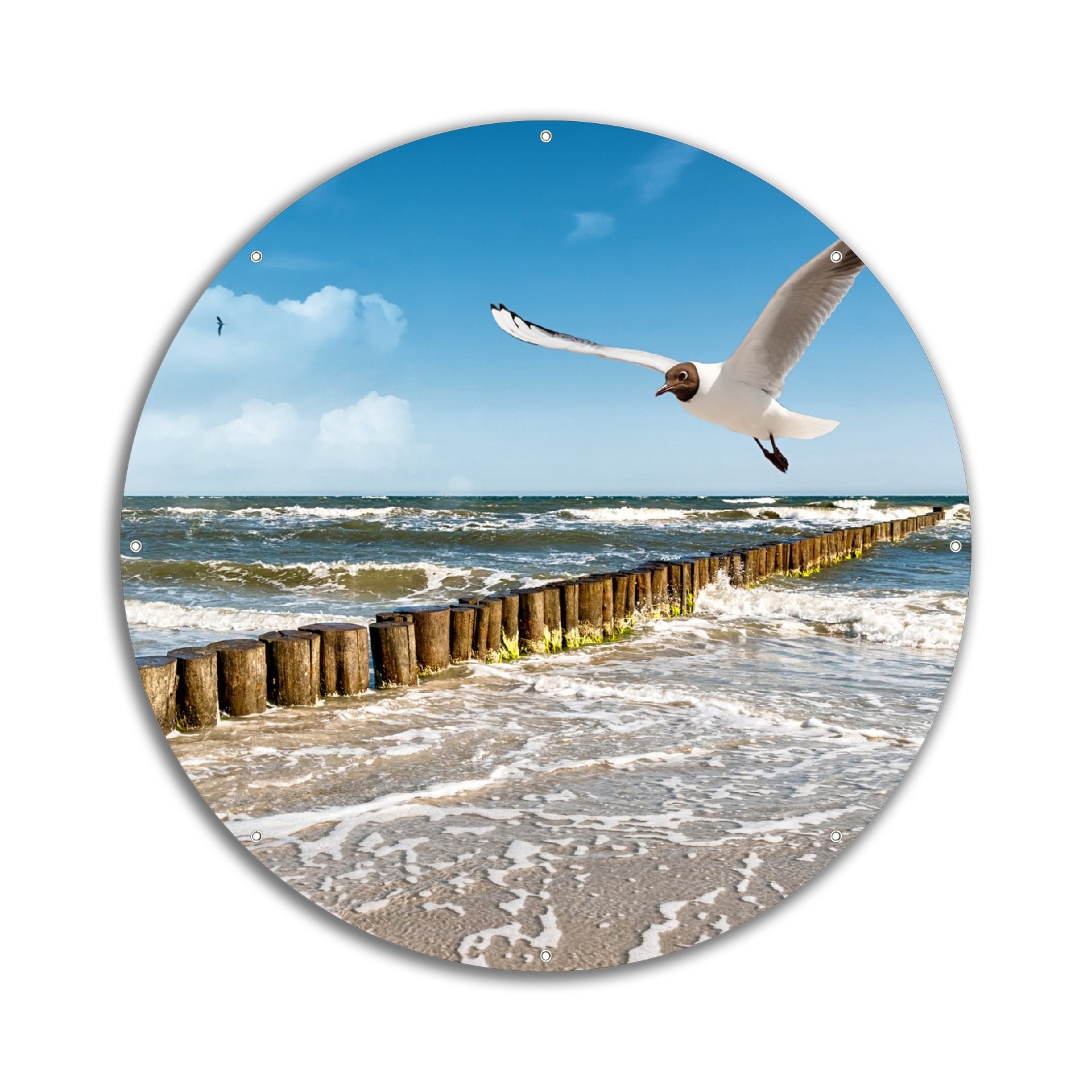 Wallario Gartenposter ca. 60 x 90 cm Fliegende Möwe am Strand