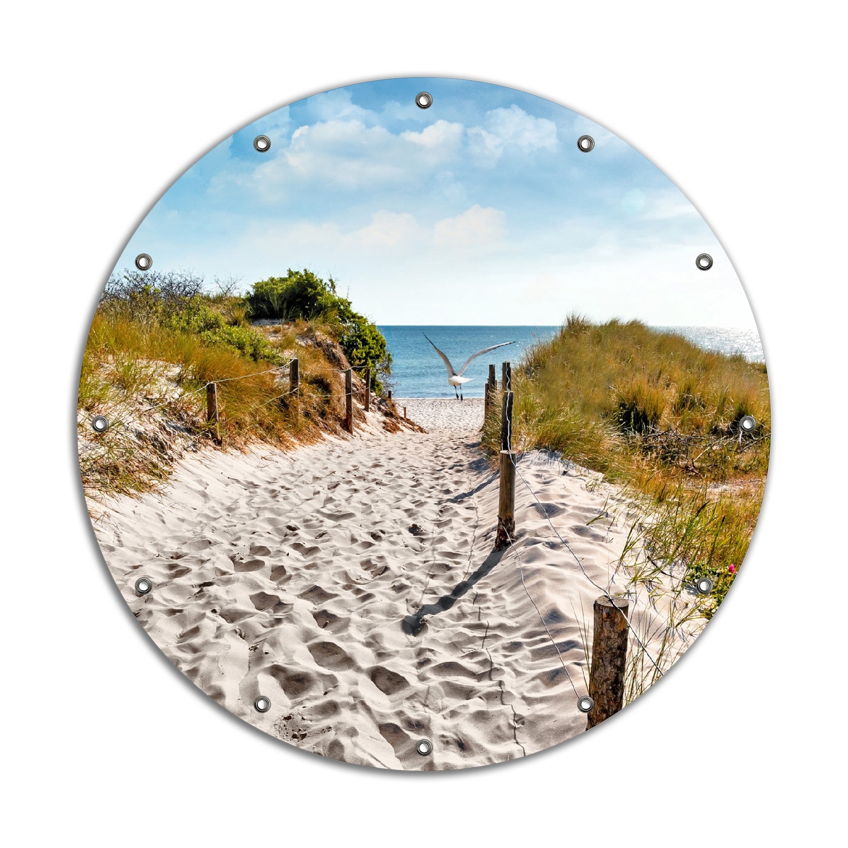 Wallario Gartenposter ca. 60 x 90 cm Möwen auf dem Weg zum Strand