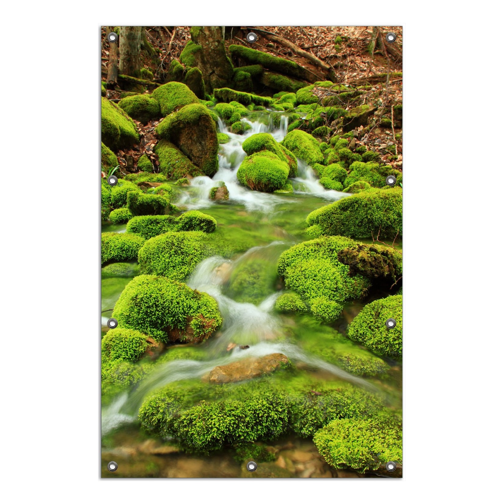 Wallario Gartenposter ca. 60 x 90 cm Moosiger Bach