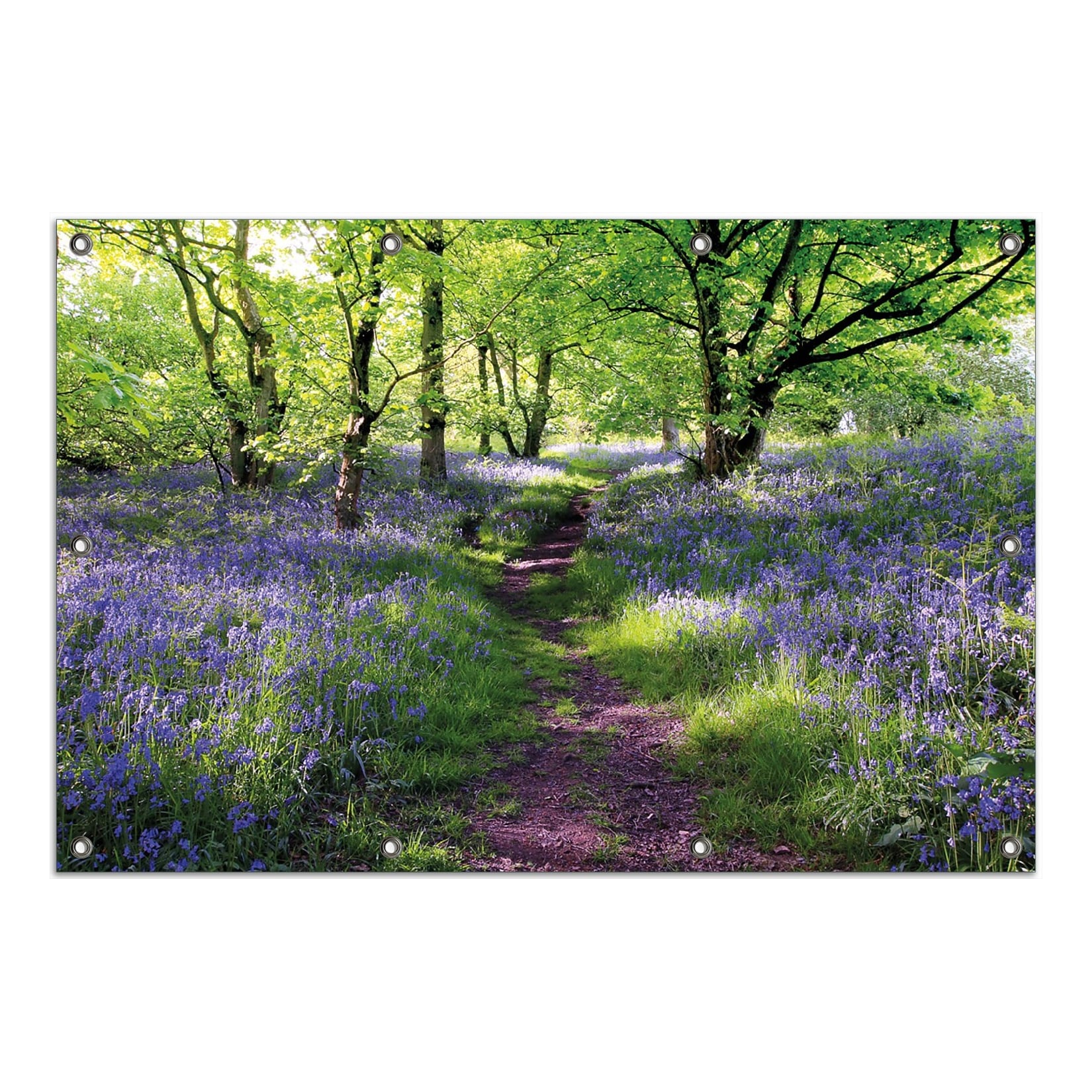 Wallario Gartenposter ca. 60 x 90 cm Blaues Hasenglöckchen im Wald