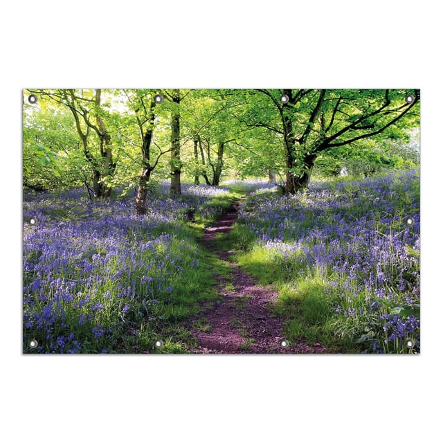 Wallario Gartenposter ca. 60 x 90 cm Blaues Hasenglöckchen im Wald
