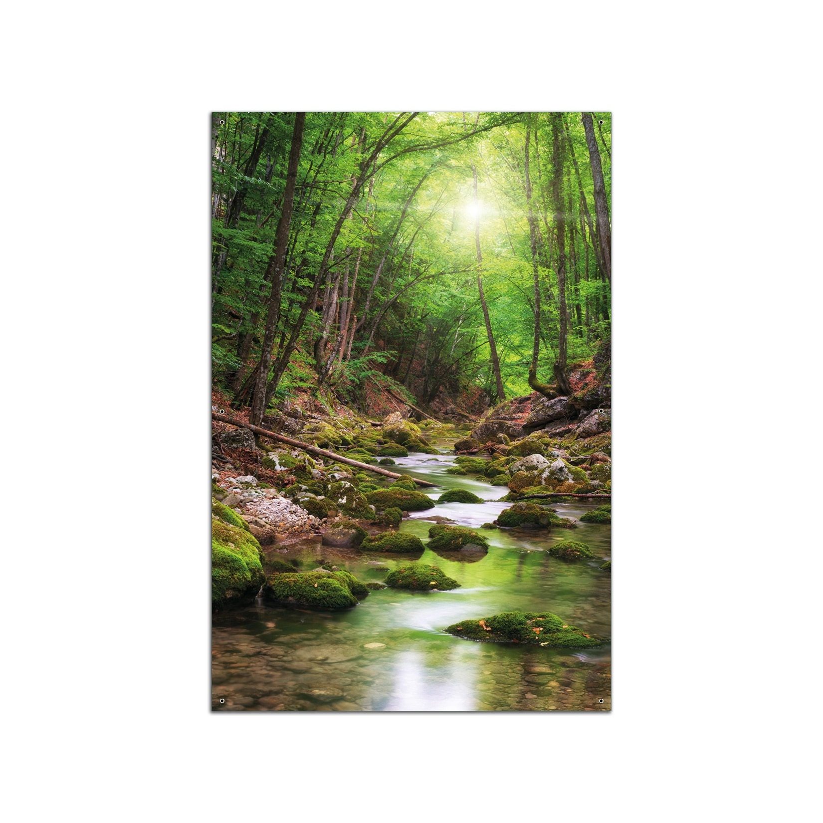Wallario Gartenposter ca. 60 x 90 cm Fluss im Wald