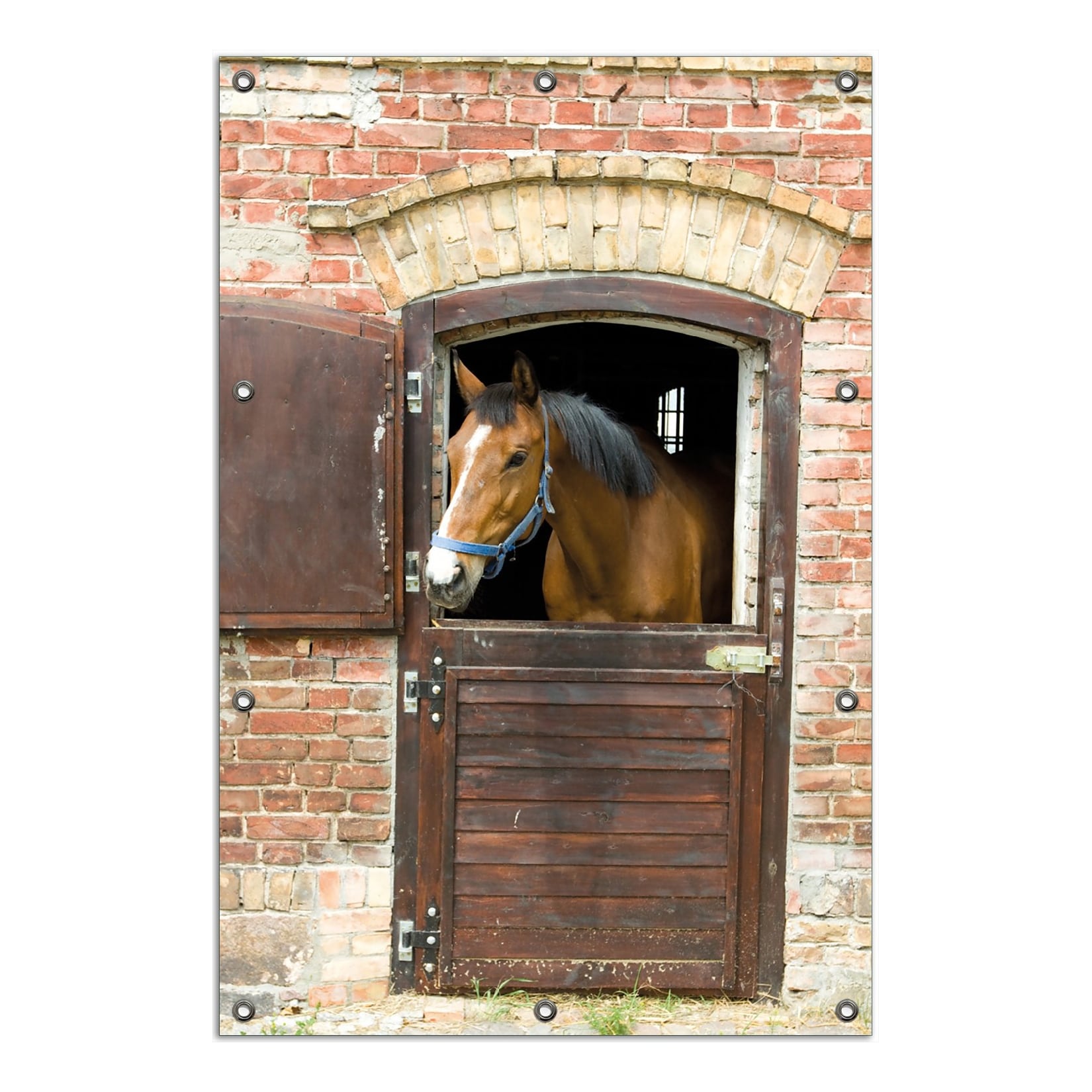 Wallario Gartenposter ca. 60 x 90 cm Pferd im Stall