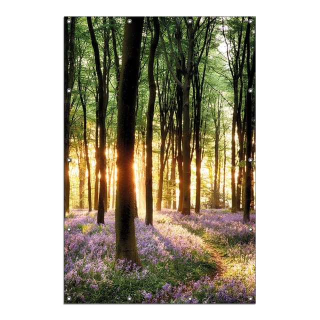 Wallario Gartenposter ca. 60 x 90 cm Blaue Hasenglöckchen im Wald mit Sonnenstrahlen