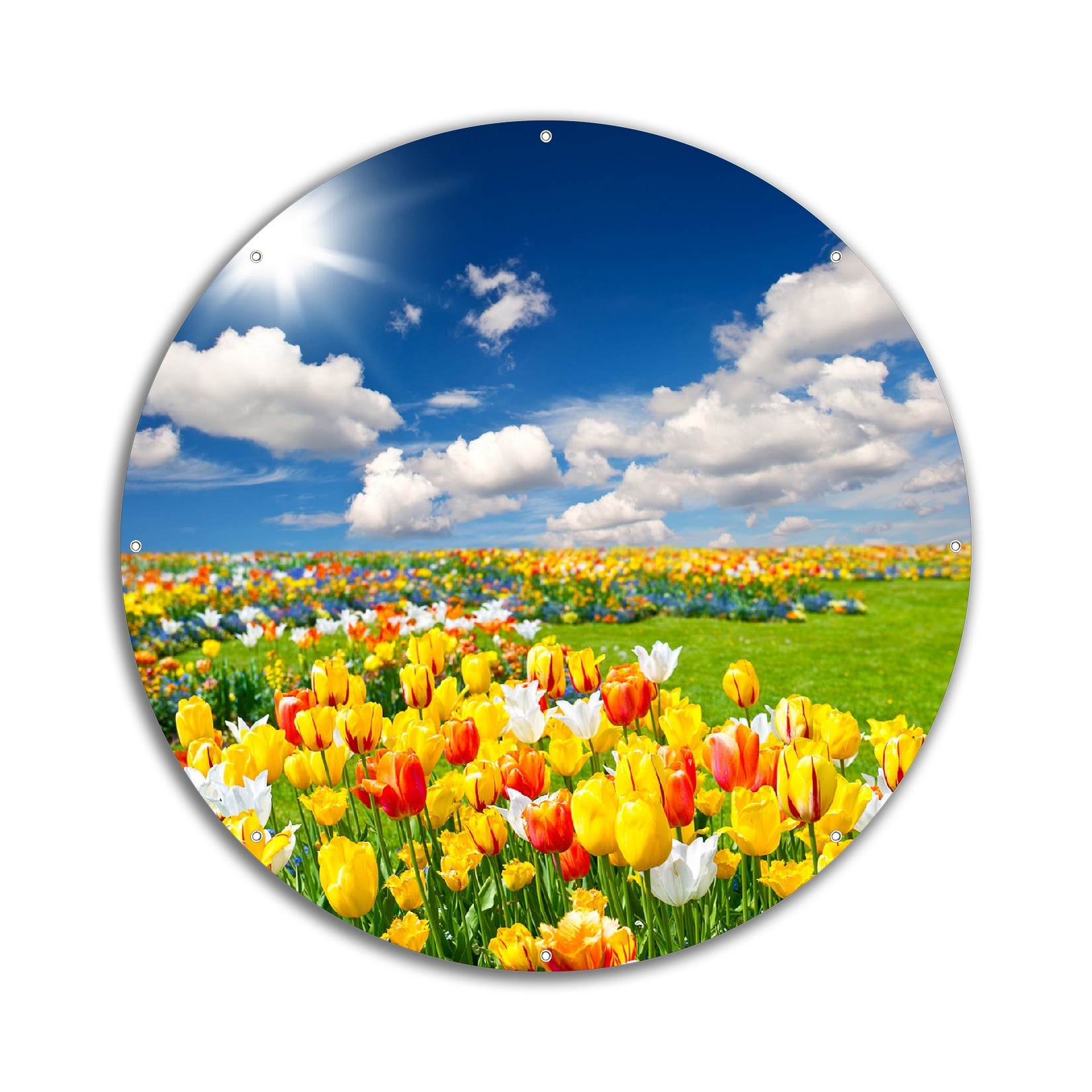 Wallario Gartenposter ca. 60 x 90 cm Tulpenwiese unter blauem Himmel