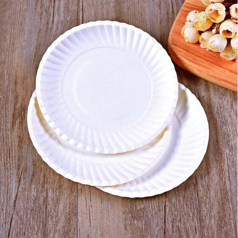 Packung Mit 100 Einwegtellern Aus Lebensmittelechter Pappe (14,3 Cm Durchmesser) Für Kuchen, Grillabende, Picknicks Und Den Außenbereich. Ortviai