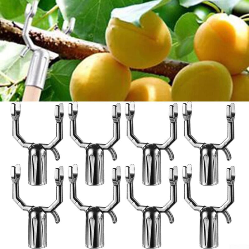 Set Mit 8 Stützen Für Obstbäume Und Pflanzen – Stabile Und Unauffällige Verstärkung