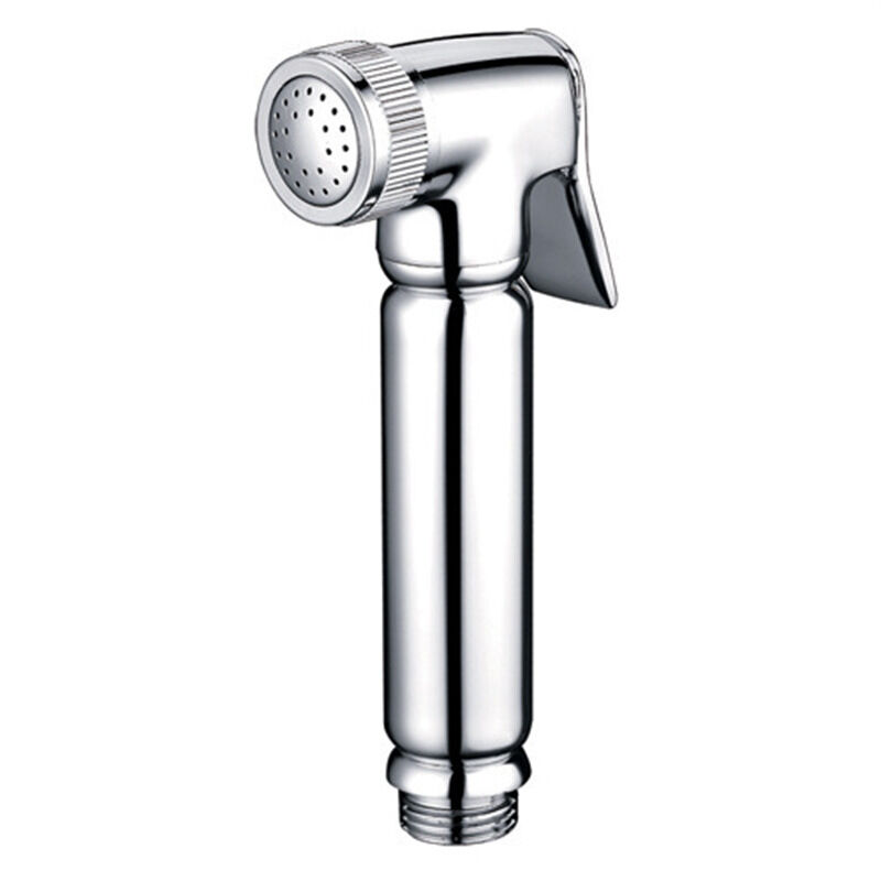 Duschkopf Und Metallhalterung Für Badezimmer-hygiene-set