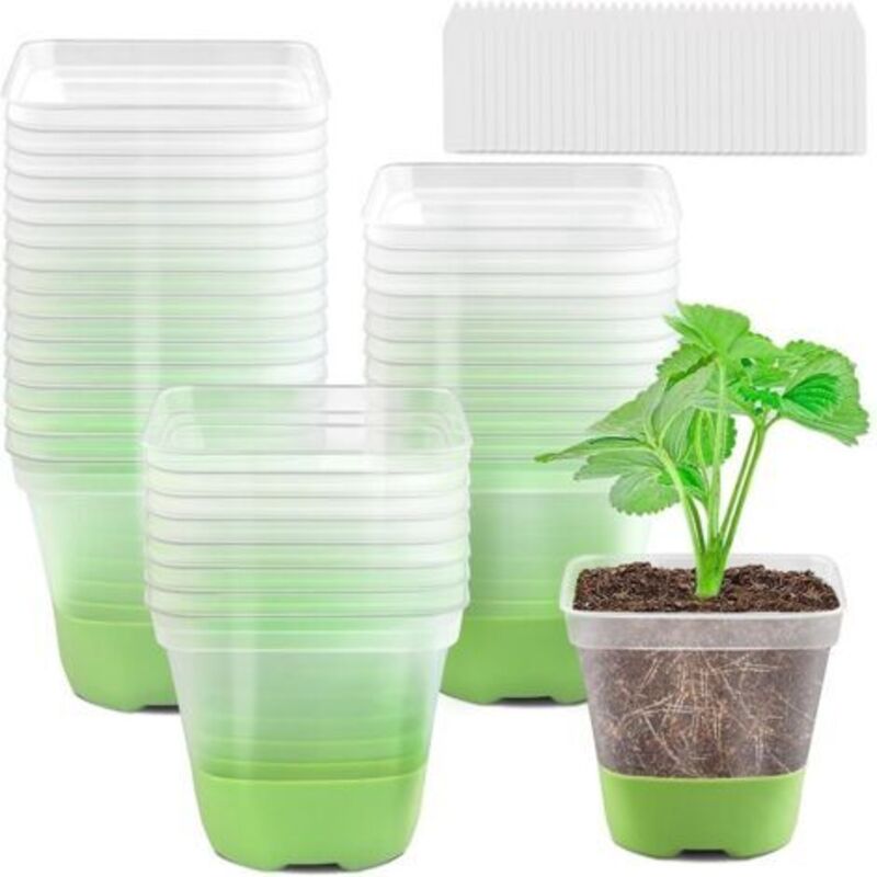 Set Mit 12 Quadratischen Kunststofftöpfen Mit Silikonboden Für Zimmer- Und Gartenpflanzen, Fluoreszierende Farbe